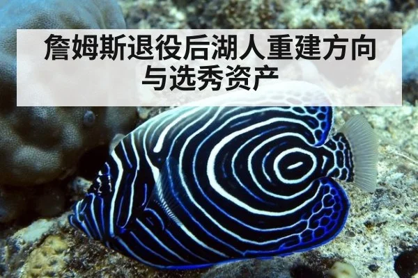 詹姆斯退役后湖人重建方向与选秀资产